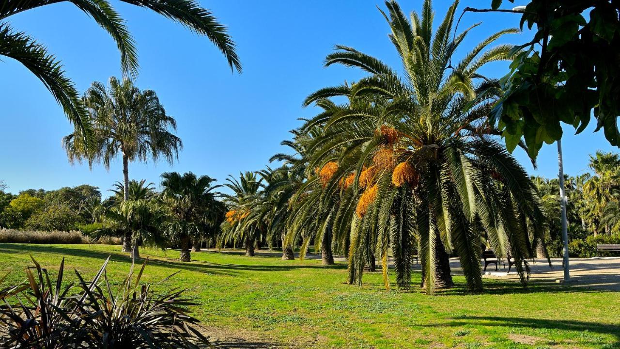 Myflats Brisas Del Sur Apartamento Alicante Exterior foto